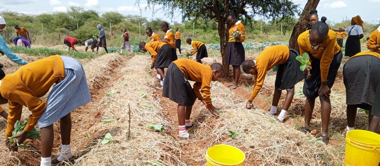 Young children playing